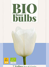 X   7 TULIPA ROYAL VIRGIN - BIO