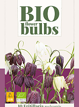 X 10 FRITILLARIA MELEAGRIS - BIO