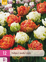 X 12 TULIPA CANDLE LIGHT