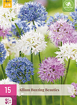 X 15 ALLIUM BUZZING BEAUTIES