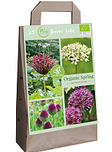 X 1 TAS ORGANIC SPRING - 35 BEE MIX