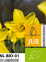 X 100 BIO NARCISSUS STANDARD VALUE