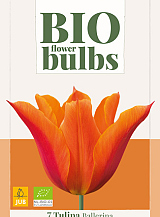 X   7 TULIPA BALLERINA - BIO