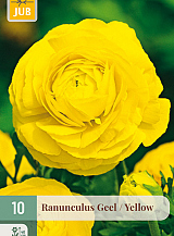 X 10 RANUNCULUS GEEL NJ