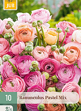 X 10 RANUNCULUS PASTEL MIX NJ