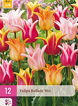 X 12 TULIPA BALLADE MIX