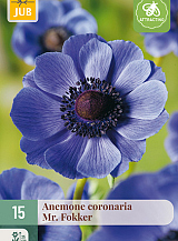 X 15 ANEMONE CORONARIA MR. FOKKER NJ