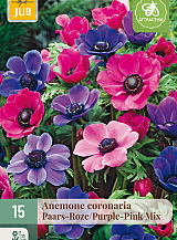X 15 ANEMONE CORONARIA PAARS-ROZE MIX NJ