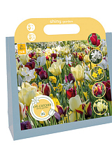 X 1 TAS 25 EYE-CATCHERS - SHINY GARDEN