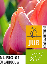 X 100 BIO TULIPA AD REM