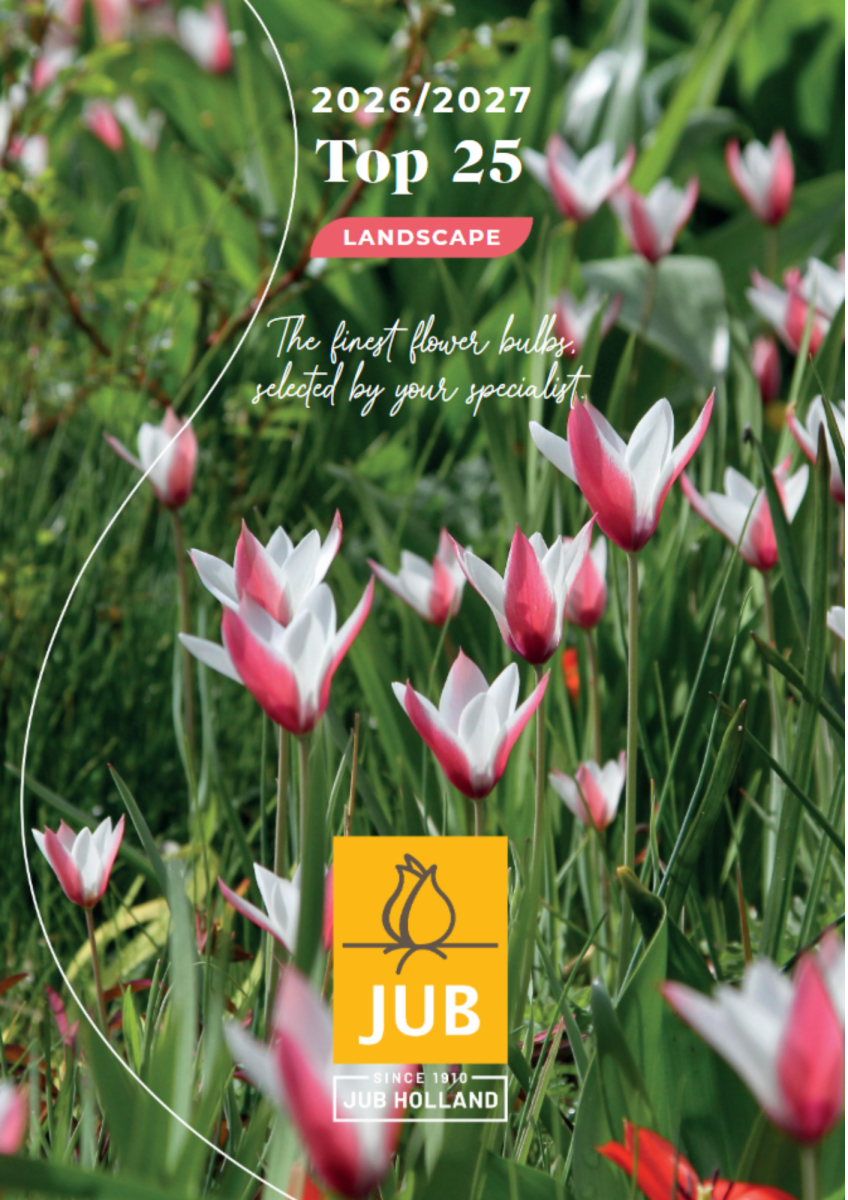 JUB Holland