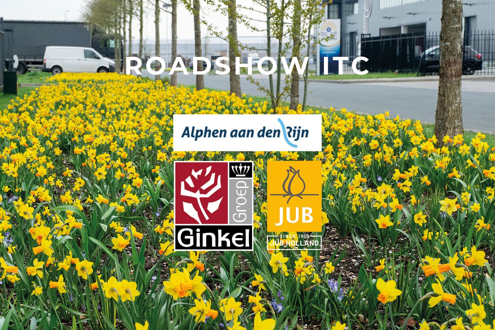 JUB Holland