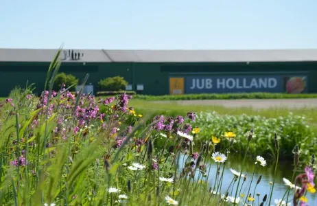 JUB Holland