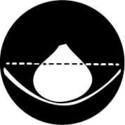 plantdiepte amaryllis