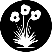 vaste plant