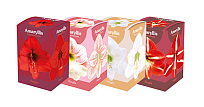 MIXDOOS 24 (4X6) DOOSJES AMARYLLIS ENKEL  28/30