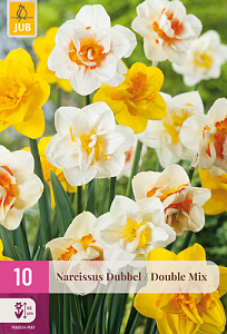 X 10 NARCISSUS DUBBEL MIX 12/14