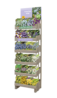 DISPLAY 'GROWING WILD' (24 X 5)