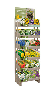 DISPLAY LASAGNE BEPLANTING (FR) (24 X 5)