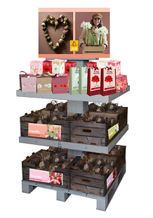 EILAND DISPLAY AMARYLLIS
