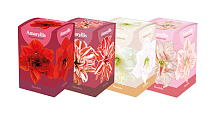 MIXDOOS 24 (4X6) DOOSJES AMARYLLIS DUBBEL