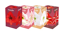 MIXDOOS 24 (4X6) DOOSJES AMARYLLIS ENKEL