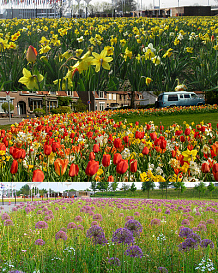 X 1 M2 MENGSEL FLORIADE