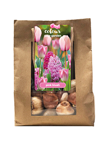 X 1 TAS 25 COLOUR YOUR GARDEN PINK BLUSH