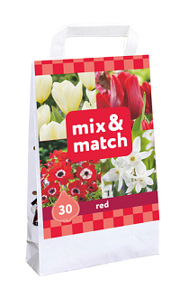 X 1 TAS 30 MIX & MATCH RED
