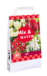 X 1 TAS 30 MIX & MATCH RED