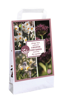 X 1 TAS 35 BULBS FOR EVERY GARDEN - DRY GARDEN