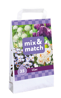 X 1 TAS 35 MIX & MATCH LILAC