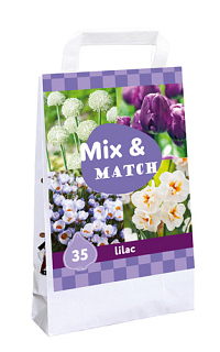 X 1 TAS 35 MIX & MATCH LILAC
