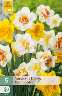 X   5 NARCISSUS DUBBEL MIX