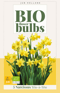 X   5 NARCISSUS TETE-A-TETE - BIO