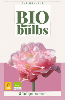 X   5 TULIPA DREAMER - BIO