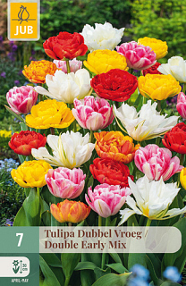 X   7 TULIPA DUBBEL VROEG MIX