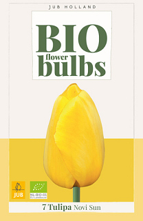 X   7 TULIPA NOVI SUN - BIO