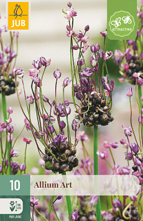 X 10 ALLIUM ART