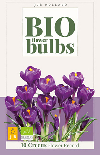 X 10 CROCUS FLOWER RECORD - BIO