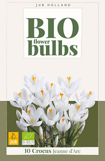 X 10 CROCUS JEANNE D'ARC - BIO