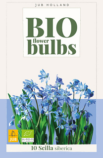 X 10 SCILLA SIBERICA - BIO