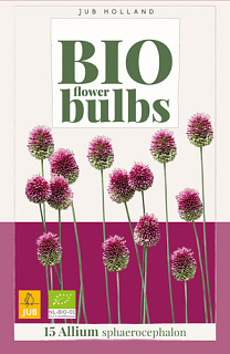 X 15 ALLIUM SPHAEROCEPHALON - BIO