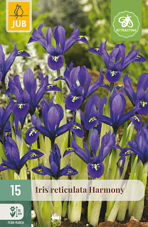 X 15 IRIS HARMONY