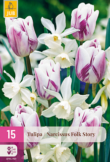 X 15 TULIPA / NARCISSUS FOLK STORY