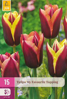 X 15 TULIPA MY FAVOURITE TOPPING