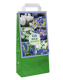 X 1 TAS 125 BULB GARDEN BLUE
