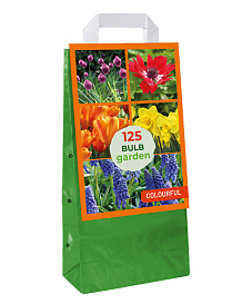 X 1 TAS 125 BULB GARDEN COLOURFUL
