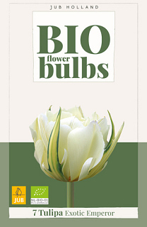 X   7 TULIPA EXOTIC EMPEROR - BIO
