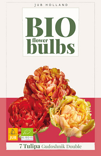 X   7 TULIPA GUDOSHNIK DOUBLE - BIO